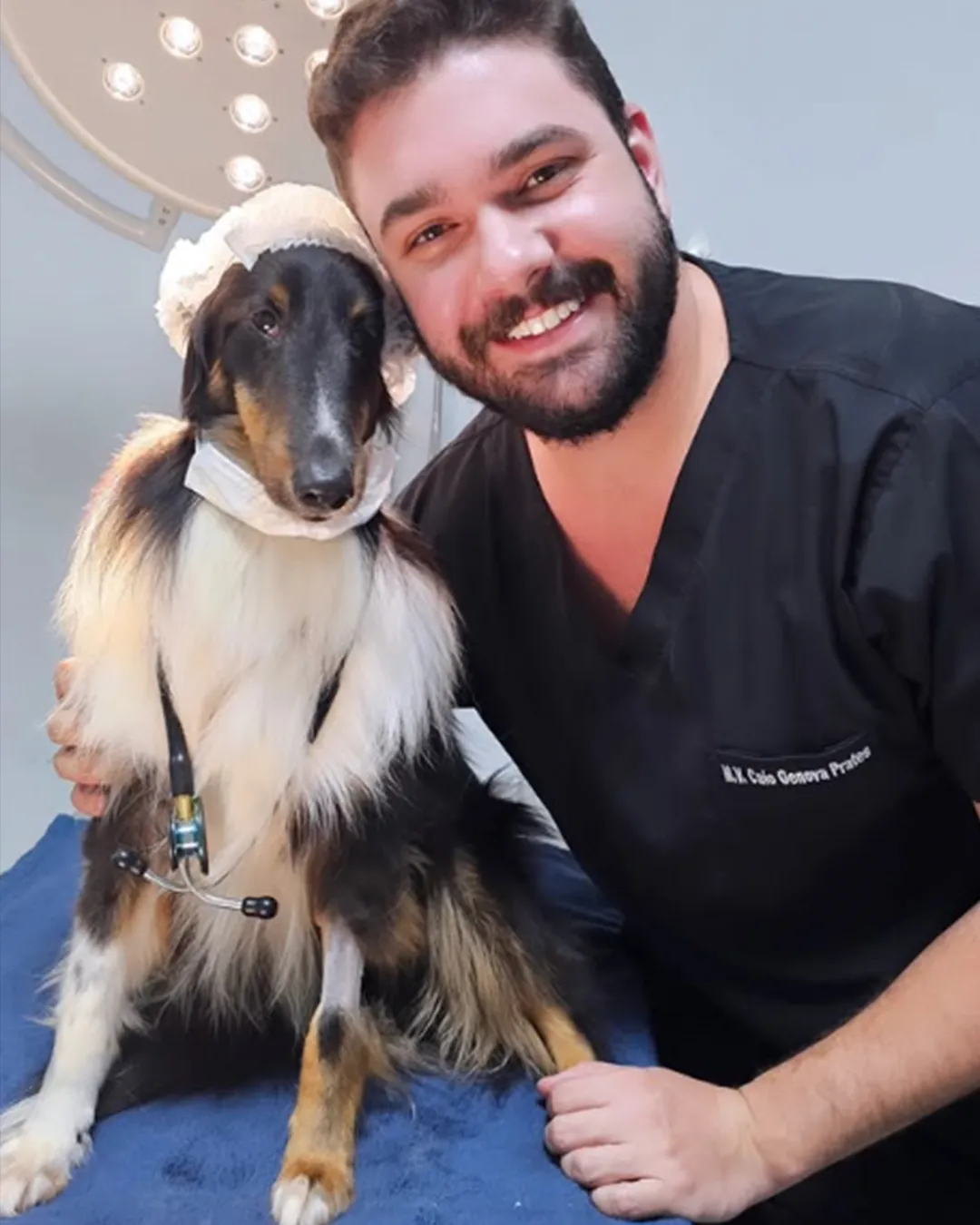 Limpeza de tártaro em cachorro com o dentista veterinário