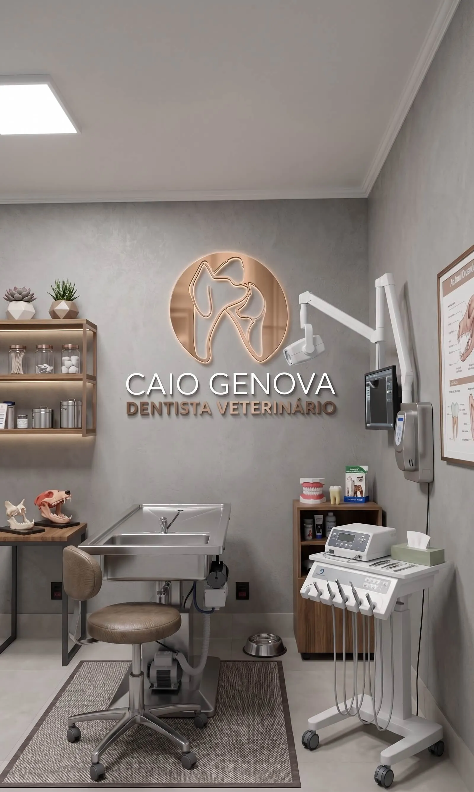 Atendimento periodontal veterinário em São Carlos